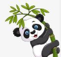 WWW,513se·COM网站APPAPP应用